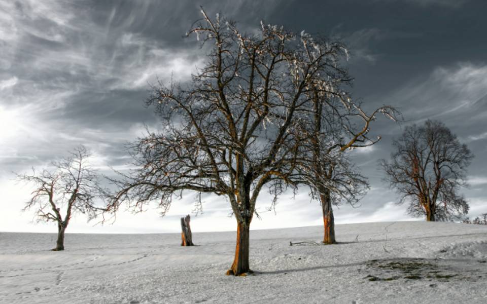 Why Optimism Extends Life And Why It’s Not What You Think