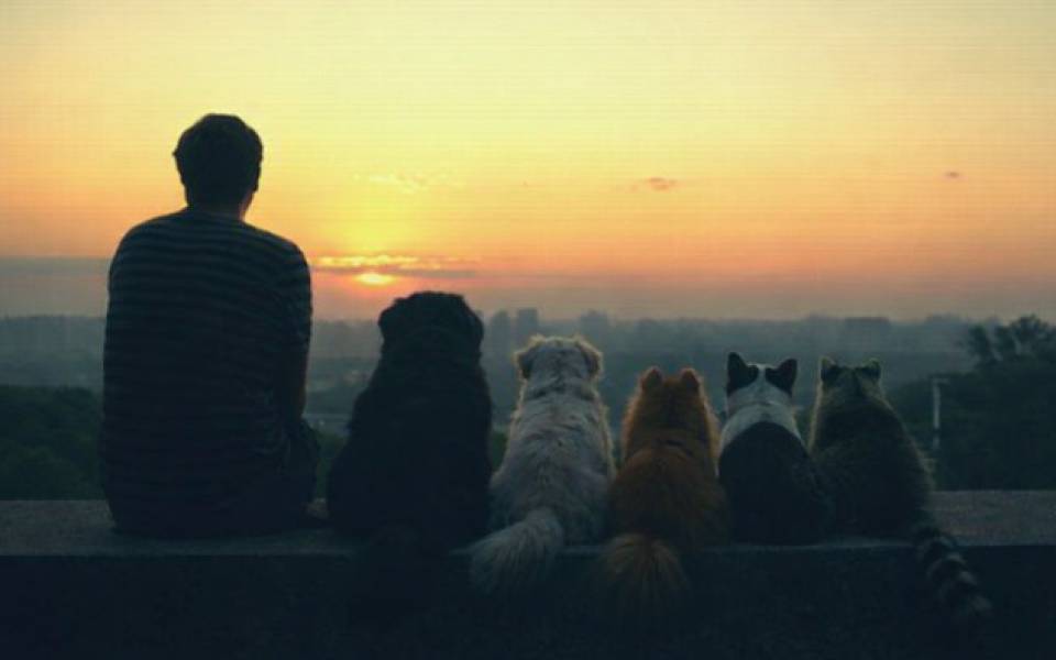 Why the Human Dog Bond Feels More Real Than Many Human Relationships