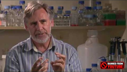 The Science of Mindfulness: Transforming the Brain and Reducing Depression mindfulness training 6 15
