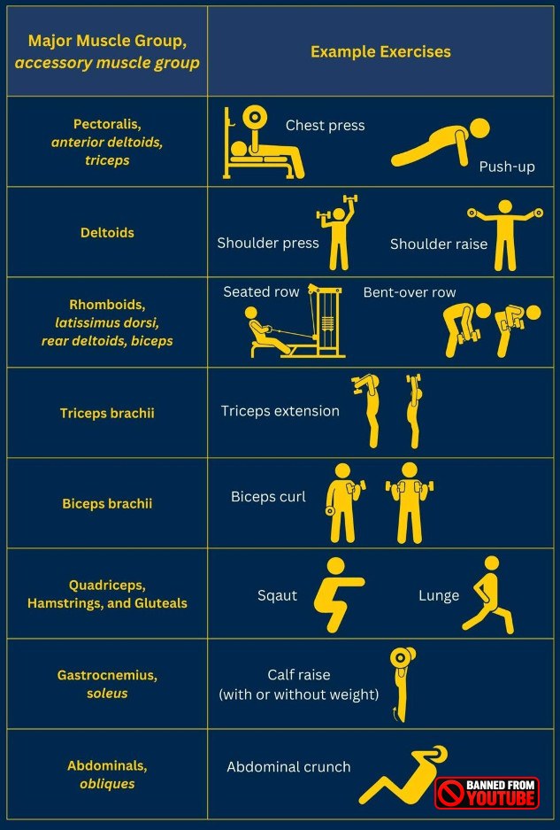 Resistance Training: The Secret Weapon Against Heart Disease 0njvb5ol