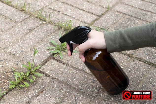 Natural methods to prevent weeds from growing in concrete cracks, including boiling water, vinegar, baking soda, and salt.